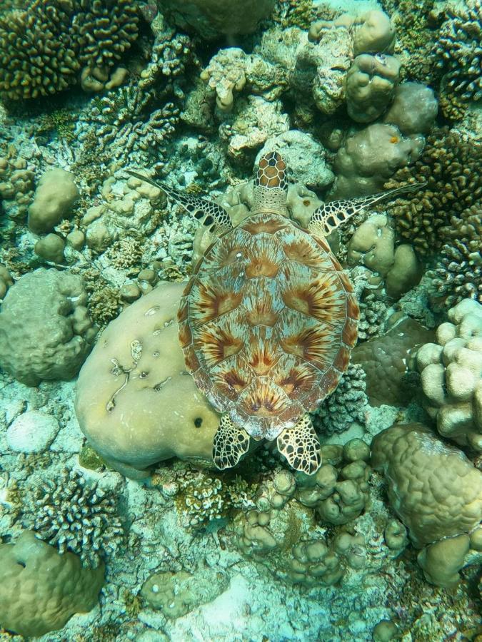 White Coral Rasdhoo Hotel ภายนอก รูปภาพ